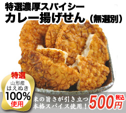�J���[�g������