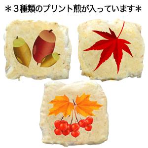 味押華(プリント煎入限定)