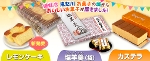 78َq̏iP[LEV[XNEoEN[wj